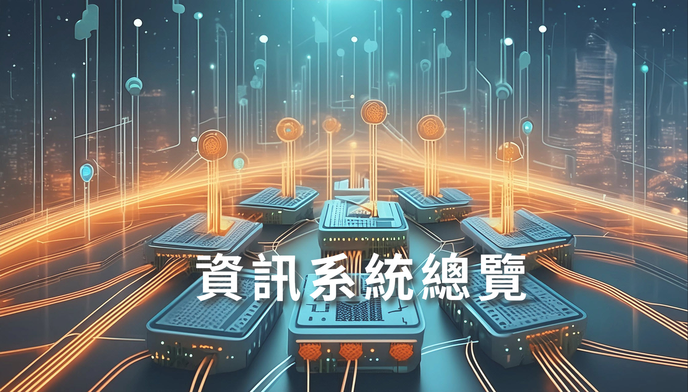 資訊系統總覽